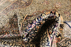 Kashan silkki-matto 200 X 300 cm